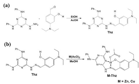 A Scheme 1 Synthetic Route Of Triazine Hydrazone Thz B Scheme