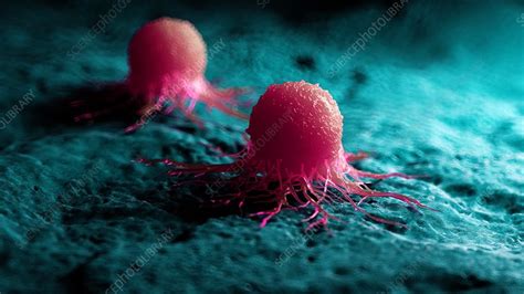 Illustration Of A Cancer Cell Stock Image F023 4962 Science Photo