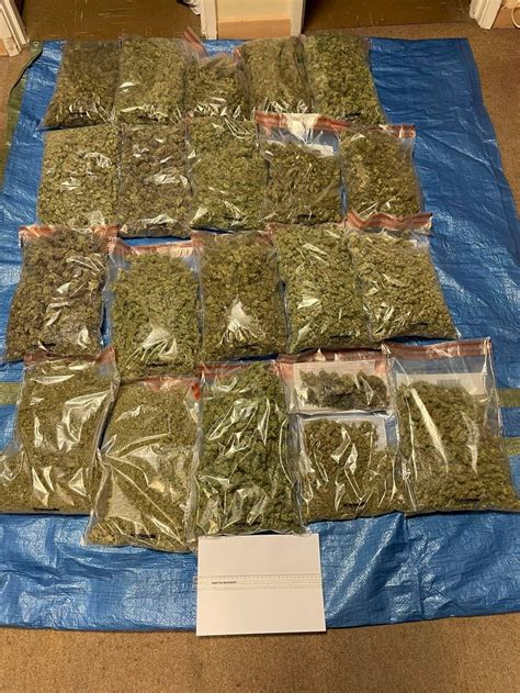 Cannabis Worth £100k Seized By Police During Drugs Raid Near Devizes Itv News West Country