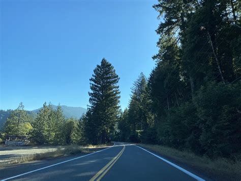 Route 271 Bus Schedule and Service Information 32