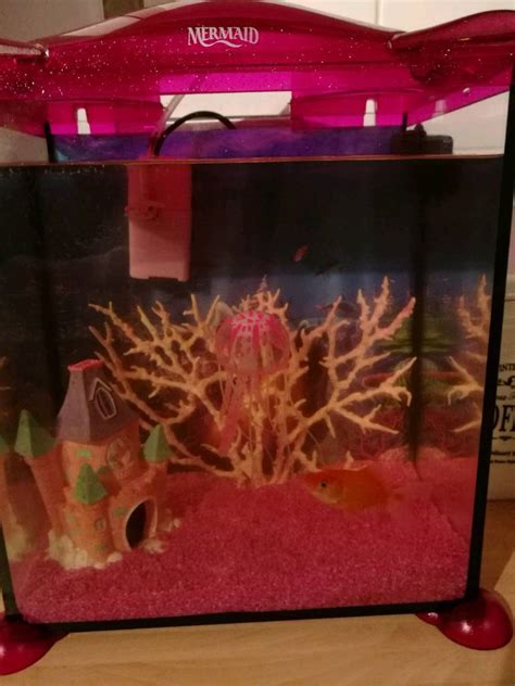 Mermaid fish tank | in Gillingham, Kent | Gumtree