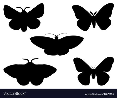 Moth silhouette Royalty Free Vector Image - VectorStock