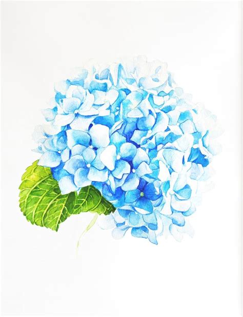 Blue Hydrangea Painting by Tatiana Repesciuc | Saatchi Art