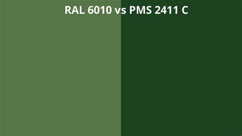 Ral 6010 Vs Pms 2411 C Ral Colour Chart Uk