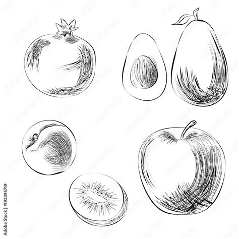 Aggregate more than 196 pencil fruit drawing - nanoginkgobiloba.vn