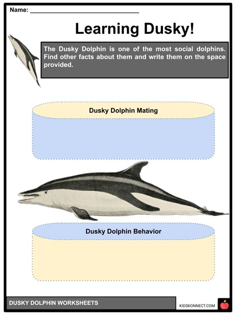 Dusky Dolphin Facts, Worksheets For Kids | Habitat, Diet, Behavior & More