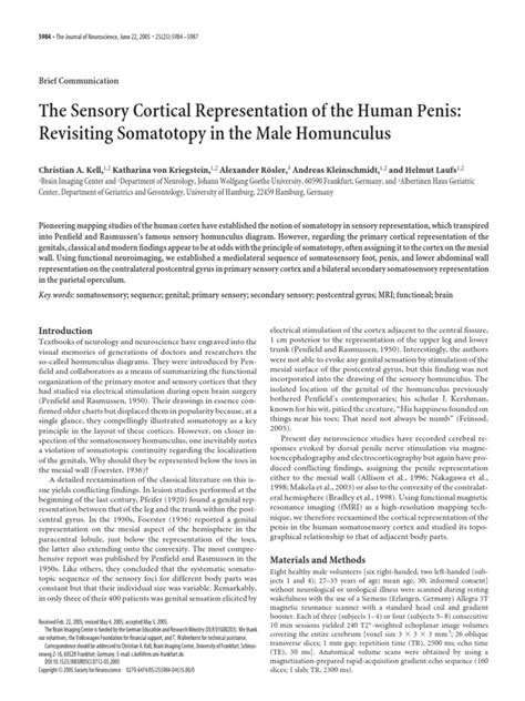 The Sensory Cortical Representation Of The Human Penis Revisiting Somatotopy In The Male