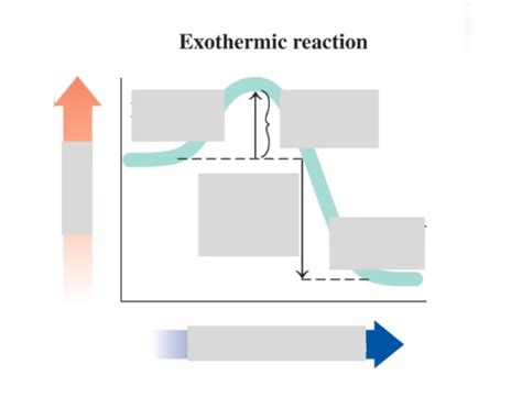 Exothermic Reaction Quiz