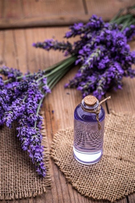 Pin De Ane Castro Em Lavender Flowers Planta De Lavanda Flores De