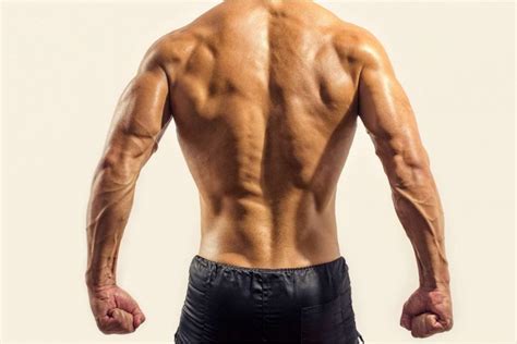 10 Tips For Building A Well Defined Back Best Exercises For Building