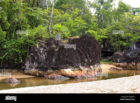 Landscape Of Masoala National Park Madagascar Stock Photo Alamy