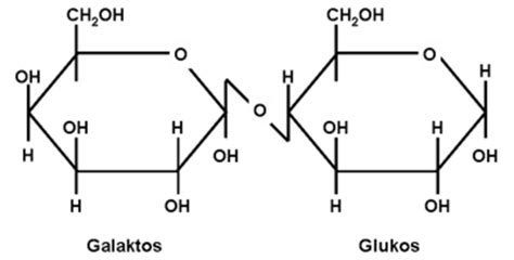 Figur 1 Kemisk Struktur För Laktos Download Scientific Diagram