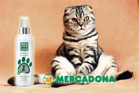 Las Mejores Feromonas Para Gatos De Mercadona