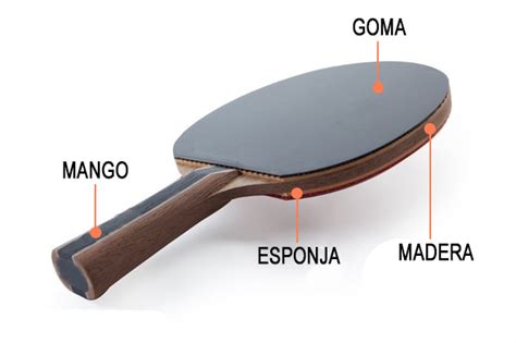 Elige la pala de ping pong según tu juego Blog de Pingpongplus