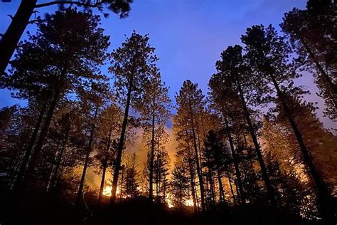 Woman Arrested For Starting California Wildfire