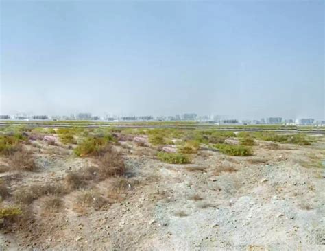 More residential sites will join the house auction sheffield uk list 24