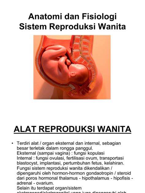 Pdf Anatomi Dan Fisiologi Sistem Reproduksi Wanita Pdf