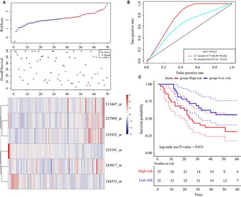 Lncrna Risk Score Analysis Using The External Validation Set Gse