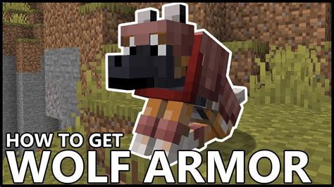 How To Get Wolf Armor In Minecraft Youtube