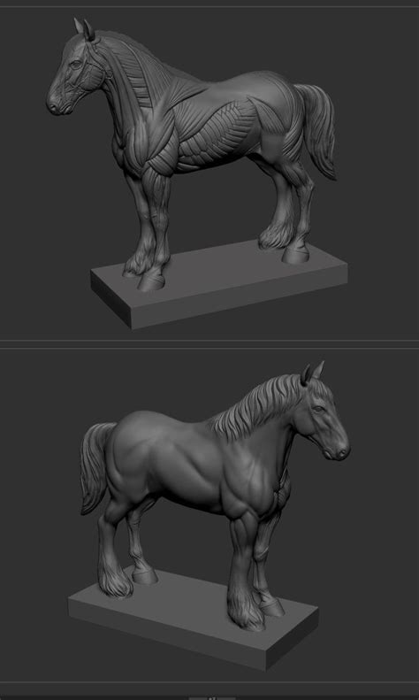 ArtStation - horse anatomy, Ho Jin Song | Horse anatomy, Horses, Animal art