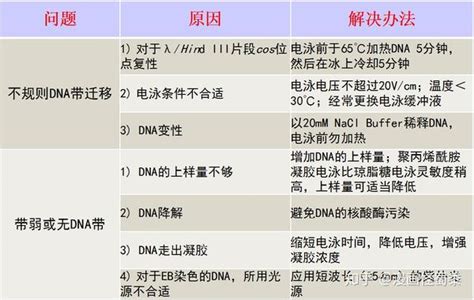 Dna电泳常见问题分析及解决方案 知乎