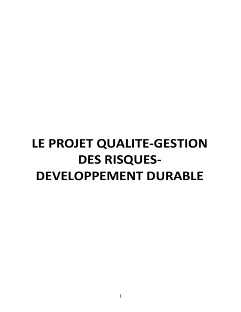 Politique Qualite Gestion Des Risques