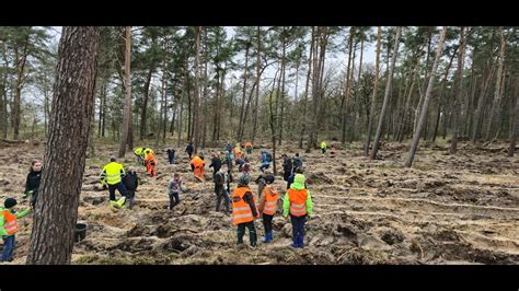 Jerichow Nimmt Kampf Gegen Das Waldsterben Auf Youtube