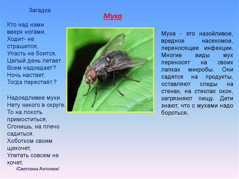 Полезные и вредные насекомые - презентация онлайн