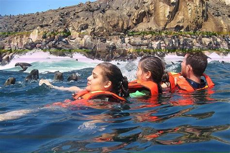 Swimming With Sea Lions In Islas Palomino Lima