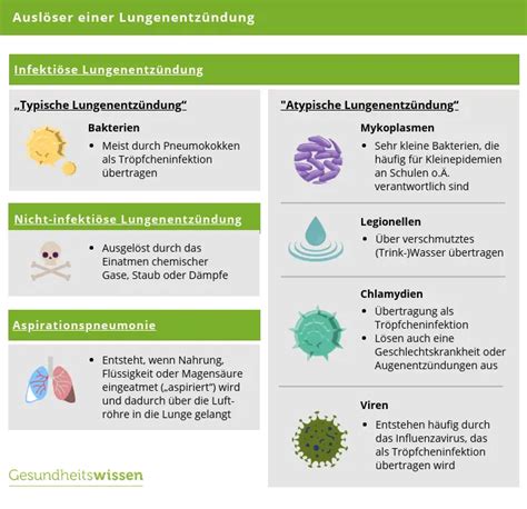 Diagnose Lungenentzündung Ursachen Symptome Behandlung