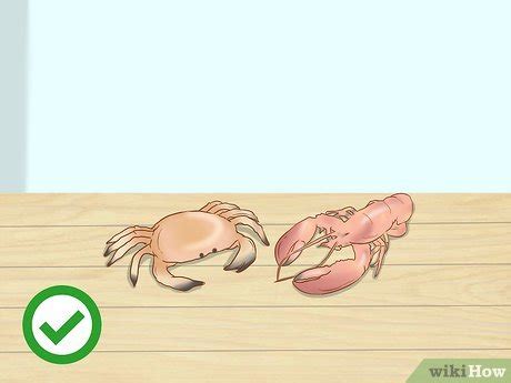 3 Simple Ways to Take Zinc - wikiHow Health