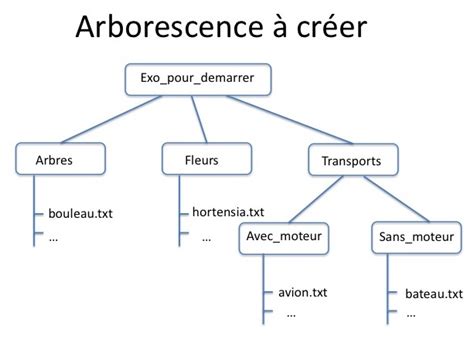 Arborescence