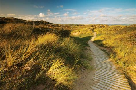 Uk Sand Dune Guide Best Dunes To Visit And Wildlife To Identify