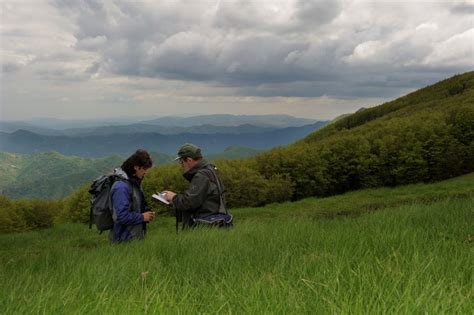 Parco Foreste Casentinesi E Biodiversit Due Bandi Di Studio Per