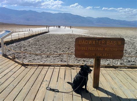 Badwater Basin – Adventures With Dog