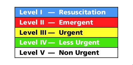 Triage Assessment Scale