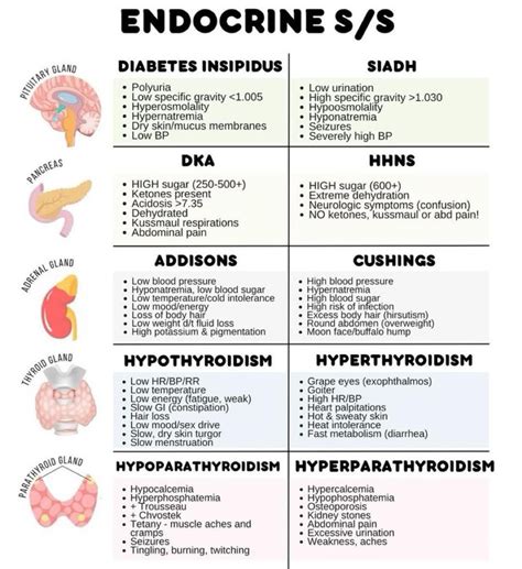 Guillain barre syndrome vs myasthenia gravis tabular form – Artofit