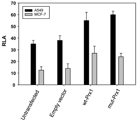 Effect Of Wild Type Wt Or Mutant Mut Prx1 Transfection On Ar N C