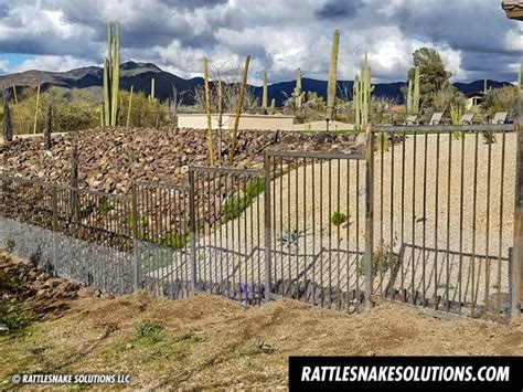 Snake Fence Installations - Don't Wait Until a Snake Shows Up - Rattlesnake Solutions