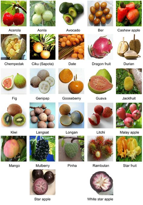 Types Of Tropical Fruit Kitchn Atelier Yuwa Ciao Jp