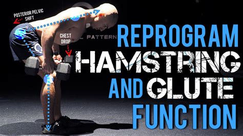 Hamstring And Glute Stretch Retensioning The Posterior Chain Glutes