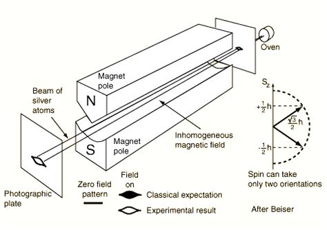 4 Stern-Gerlach experiment [9] | Download Scientific Diagram