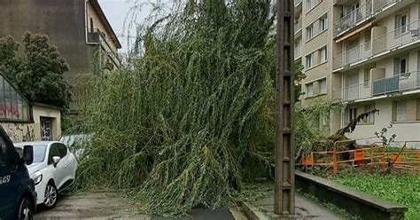 Isère Un arbre tombe sur une voiture à Jarrie le conducteur indemne