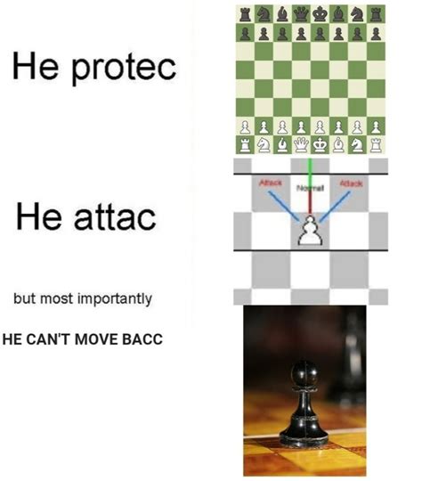 Best Chess Memes If You Are Bored Chess Forums