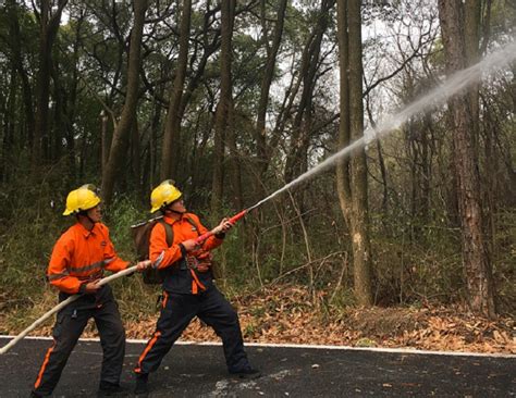 吴中区多措并举抓好“两会”期间森林防火工作工作动态苏州市自然资源和规划局吴中分局