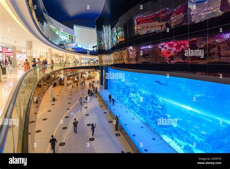 Dubai Aquarium And Underwater Zoo Inside The Dubai Mall The Largest