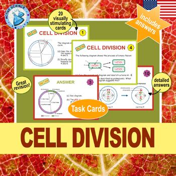 Cell Division Mitosis Meiosis And Binary Fission Task Cards US Edition