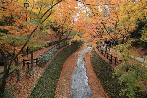 10 Best Places To See Autumn Leaves In Kyoto Kyuhoshi