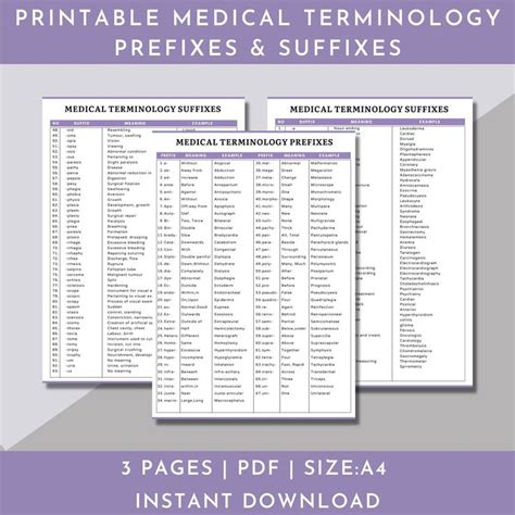 Medical Terminology Flashcardsmedical Terminology Prefixes And