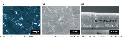 Figure From Morphology Tuning In The Formation Of Vaterite Crystal